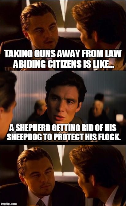 Snatch all of the guns! | TAKING GUNS AWAY FROM LAW ABIDING CITIZENS IS LIKE... A SHEPHERD GETTING RID OF HIS SHEEPDOG TO PROTECT HIS FLOCK. | image tagged in memes,inception,gun control | made w/ Imgflip meme maker