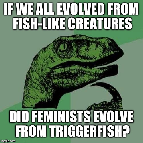 Seems legit to me. | IF WE ALL EVOLVED FROM FISH-LIKE CREATURES; DID FEMINISTS EVOLVE FROM TRIGGERFISH? | image tagged in memes,philosoraptor,funny,feminist | made w/ Imgflip meme maker