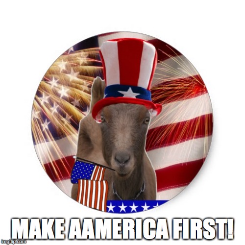 Aamerica First! | MAKE AAMERICA FIRST! | image tagged in satire,political,trump | made w/ Imgflip meme maker