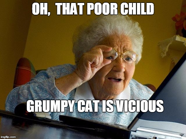 Grandma Finds The Internet Meme | OH,  THAT POOR CHILD GRUMPY CAT IS VICIOUS | image tagged in memes,grandma finds the internet | made w/ Imgflip meme maker