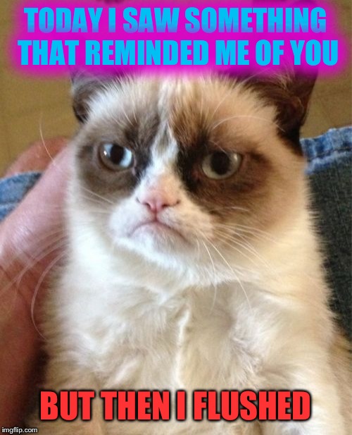 Almost romantic Grumpy Cat | TODAY I SAW SOMETHING THAT REMINDED ME OF YOU; BUT THEN I FLUSHED | image tagged in memes,grumpy cat,funny | made w/ Imgflip meme maker