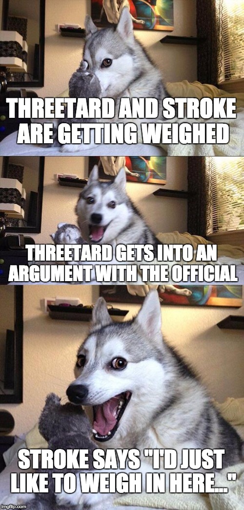 Bad Pun Dog | THREETARD AND STROKE ARE GETTING WEIGHED; THREETARD GETS INTO AN ARGUMENT WITH THE OFFICIAL; STROKE SAYS "I'D JUST LIKE TO WEIGH IN HERE..." | image tagged in memes,bad pun dog | made w/ Imgflip meme maker