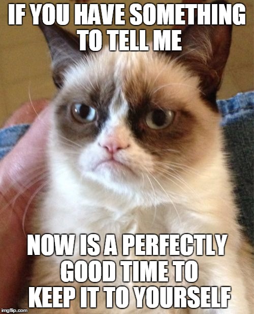 Grumpy Cat | IF YOU HAVE SOMETHING TO TELL ME; NOW IS A PERFECTLY GOOD TIME TO KEEP IT TO YOURSELF | image tagged in memes,grumpy cat,tommy lee jones,captain america,conversation,funny | made w/ Imgflip meme maker