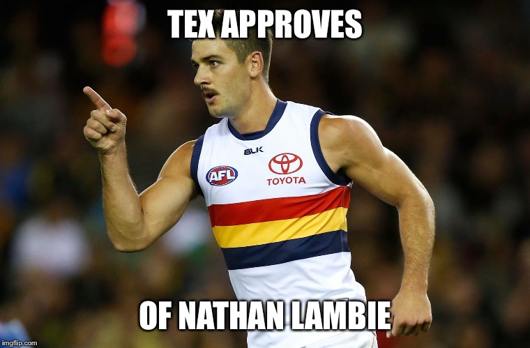Tex approves | TEX APPROVES; OF NATHAN LAMBIE | image tagged in tex approves | made w/ Imgflip meme maker