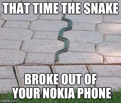 THAT TIME THE SNAKE; BROKE OUT OF YOUR NOKIA PHONE | image tagged in snake in real life | made w/ Imgflip meme maker