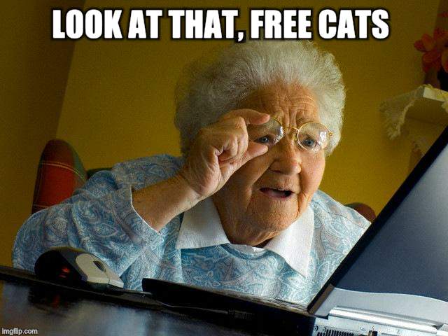 Grandma Finds The Internet Meme | LOOK AT THAT, FREE CATS | image tagged in memes,grandma finds the internet | made w/ Imgflip meme maker