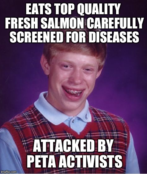 Bad Luck Brian Meme | EATS TOP QUALITY FRESH SALMON CAREFULLY SCREENED FOR DISEASES ATTACKED BY PETA ACTIVISTS | image tagged in memes,bad luck brian | made w/ Imgflip meme maker