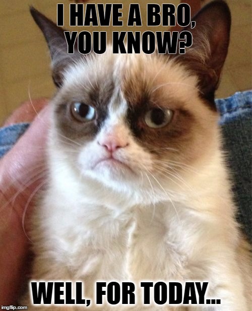 Grumpy Cat Meme | I HAVE A BRO, YOU KNOW? WELL, FOR TODAY... | image tagged in memes,grumpy cat | made w/ Imgflip meme maker
