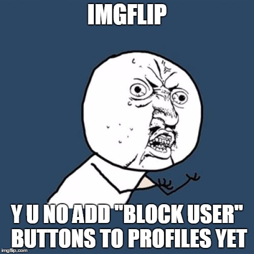 Y U No | IMGFLIP; Y U NO ADD "BLOCK USER" BUTTONS TO PROFILES YET | image tagged in memes,y u no | made w/ Imgflip meme maker