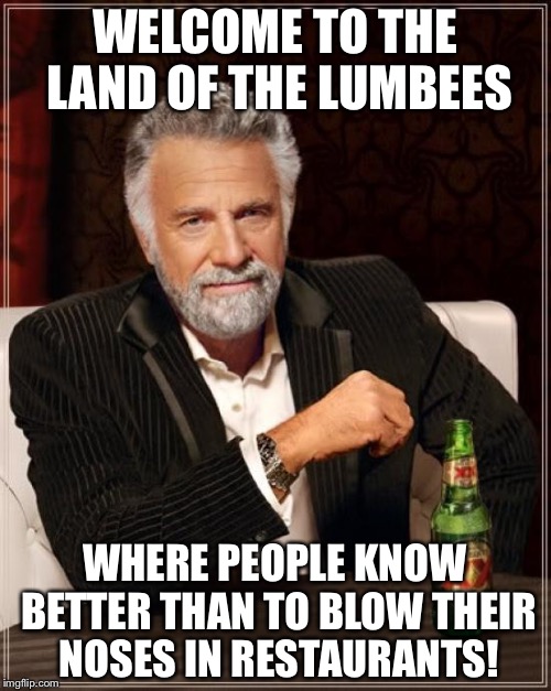 The Most Interesting Man In The World Meme | WELCOME TO THE LAND OF THE LUMBEES; WHERE PEOPLE KNOW BETTER THAN TO BLOW THEIR NOSES IN RESTAURANTS! | image tagged in memes,the most interesting man in the world | made w/ Imgflip meme maker