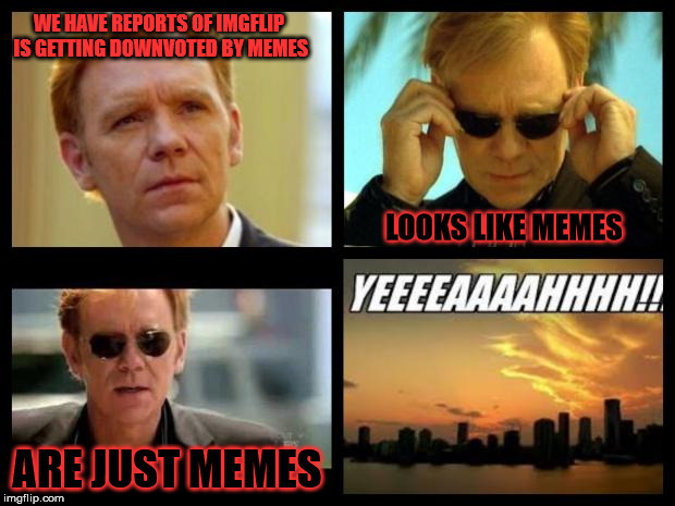 Memes. | WE HAVE REPORTS OF IMGFLIP IS GETTING DOWNVOTED BY MEMES; LOOKS LIKE MEMES; ARE JUST MEMES | image tagged in csi,memes | made w/ Imgflip meme maker