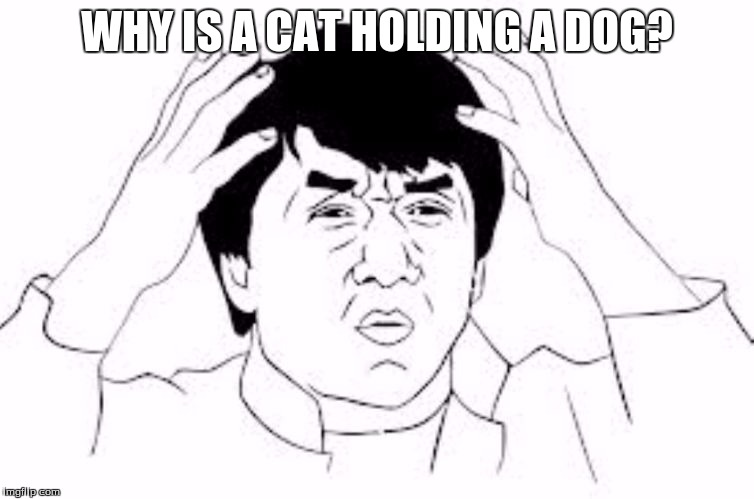 WHY IS A CAT HOLDING A DOG? | made w/ Imgflip meme maker