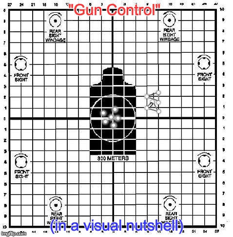 "Gun Control"; (in a visual nutshell) | image tagged in gun control | made w/ Imgflip meme maker