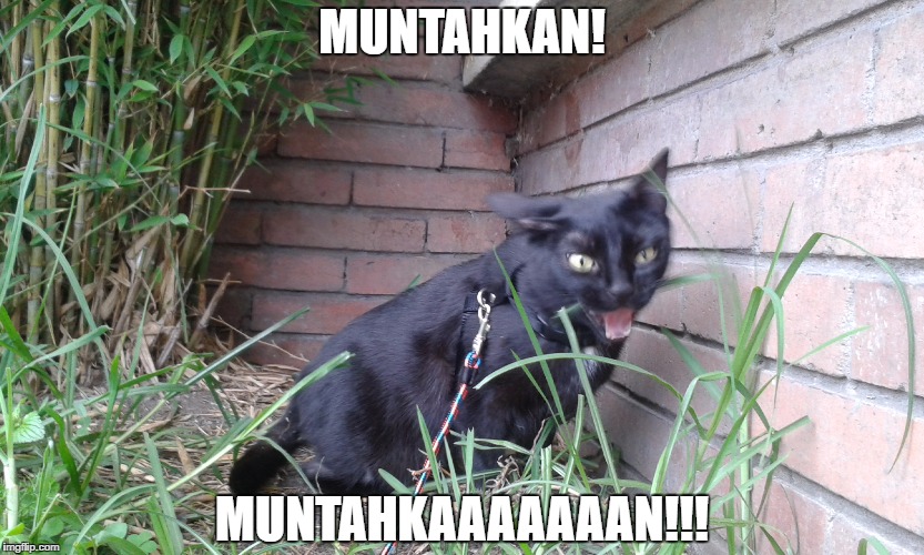 MUNTAHKAN! MUNTAHKAAAAAAAN!!! | made w/ Imgflip meme maker