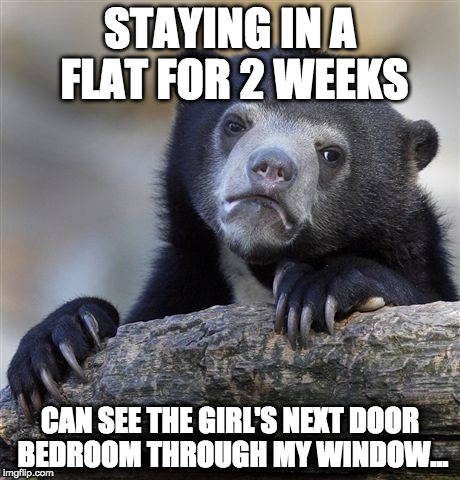 Confession Bear | STAYING IN A FLAT FOR 2 WEEKS; CAN SEE THE GIRL'S NEXT DOOR BEDROOM THROUGH MY WINDOW... | image tagged in memes,confession bear,AdviceAnimals | made w/ Imgflip meme maker