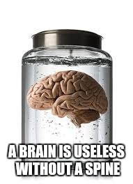 Brain in jar | A BRAIN IS USELESS WITHOUT A SPINE | image tagged in brain | made w/ Imgflip meme maker