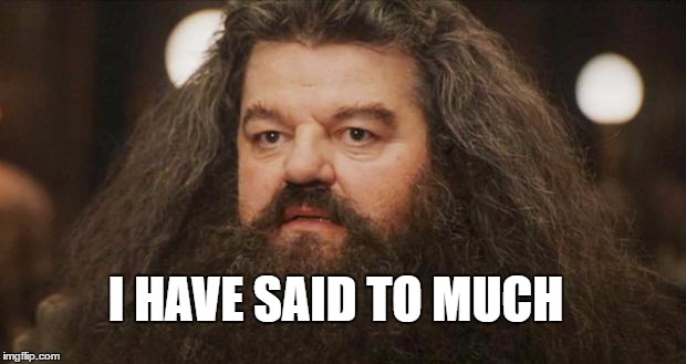 Hagrid | I HAVE SAID TO MUCH | image tagged in hagrid | made w/ Imgflip meme maker