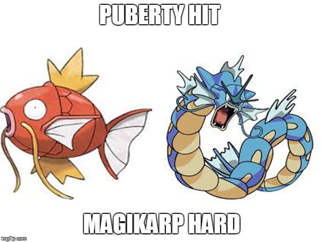 Puberty Hit Magikarp Hard  | PUBERTY HIT; MAGIKARP HARD | image tagged in pokemon,games,magikarp,hard,funny,fun | made w/ Imgflip meme maker