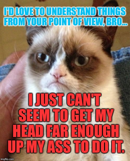 This Goes Out To One Special Troll.... | I'D LOVE TO UNDERSTAND THINGS FROM YOUR POINT OF VIEW, BRO... I JUST CAN'T SEEM TO GET MY HEAD FAR ENOUGH UP MY ASS TO DO IT. | image tagged in memes,grumpy cat,burn | made w/ Imgflip meme maker