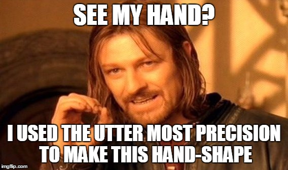 One Does Not Simply Meme | SEE MY HAND? I USED THE UTTER MOST PRECISION TO MAKE THIS HAND-SHAPE | image tagged in memes,one does not simply | made w/ Imgflip meme maker