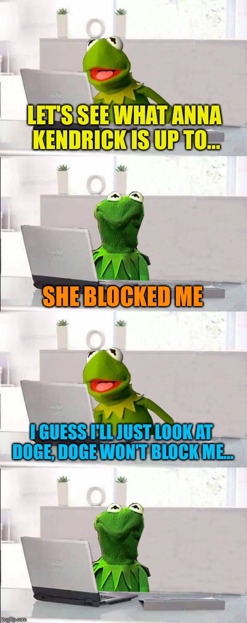 Hide The Pain Kermit | LET'S SEE WHAT ANNA KENDRICK IS UP TO... SHE BLOCKED ME; I GUESS I'LL JUST LOOK AT DOGE, DOGE WON'T BLOCK ME... | image tagged in memes,hide the pain kermit | made w/ Imgflip meme maker