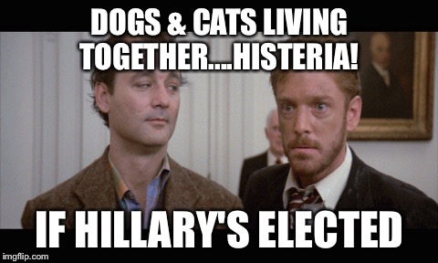 Ghostbusters it's true | DOGS & CATS LIVING TOGETHER....HISTERIA! IF HILLARY'S ELECTED | image tagged in ghostbusters it's true | made w/ Imgflip meme maker