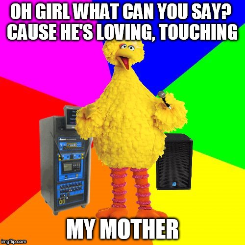 Wrong lyrics karaoke big bird | OH GIRL WHAT CAN YOU SAY?
 CAUSE HE'S LOVING, TOUCHING; MY MOTHER | image tagged in wrong lyrics karaoke big bird | made w/ Imgflip meme maker