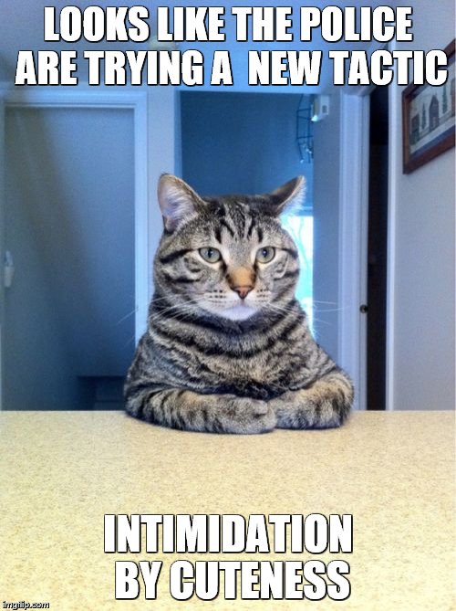 Take A Seat Cat | LOOKS LIKE THE POLICE ARE TRYING A  NEW TACTIC; INTIMIDATION BY CUTENESS | image tagged in memes,take a seat cat | made w/ Imgflip meme maker