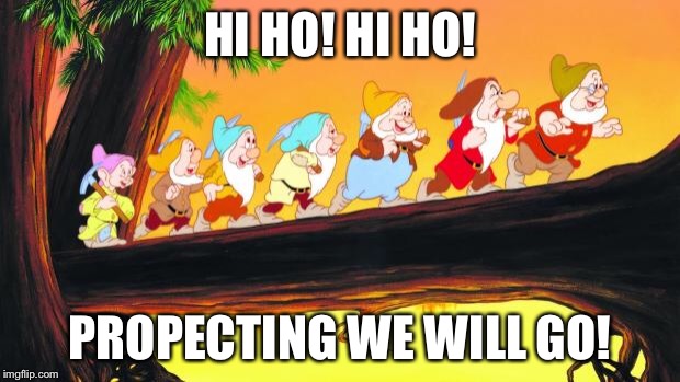 7 dwarfs | HI HO! HI HO! PROPECTING WE WILL GO! | image tagged in 7 dwarfs | made w/ Imgflip meme maker