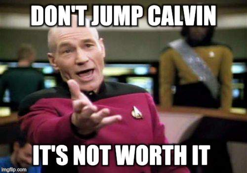 Picard Wtf Meme | DON'T JUMP CALVIN IT'S NOT WORTH IT | image tagged in memes,picard wtf | made w/ Imgflip meme maker