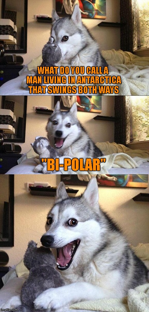 Bad Pun Dog Meme | WHAT DO YOU CALL A MAN LIVING IN ANTARCTICA THAT SWINGS BOTH WAYS; "BI-POLAR" | image tagged in memes,bad pun dog | made w/ Imgflip meme maker