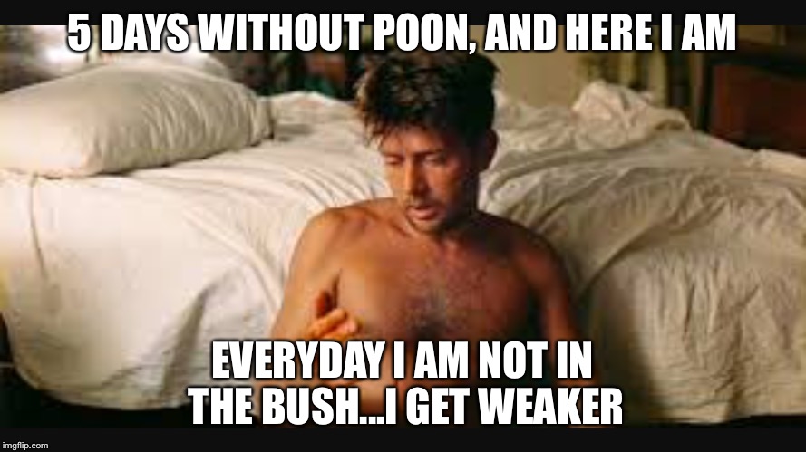 Apocalypse fun | 5 DAYS WITHOUT POON, AND HERE I AM; EVERYDAY I AM NOT IN THE BUSH...I GET WEAKER | image tagged in puns | made w/ Imgflip meme maker