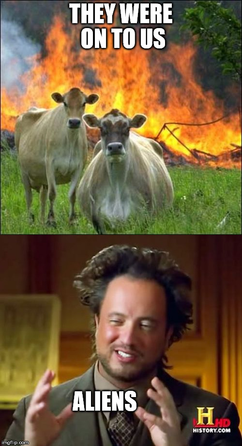 The Cows Have A Secret | THEY WERE ON TO US; ALIENS | image tagged in evil cows,ancient aliens | made w/ Imgflip meme maker