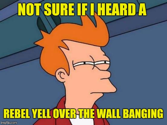Futurama Fry Meme | NOT SURE IF I HEARD A REBEL YELL OVER THE WALL BANGING | image tagged in memes,futurama fry | made w/ Imgflip meme maker
