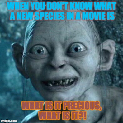 Gollum Meme | WHEN YOU DON'T KNOW WHAT A NEW SPECIES IN A MOVIE IS; WHAT IS IT PRECIOUS, WHAT IS IT?! | image tagged in memes,gollum | made w/ Imgflip meme maker