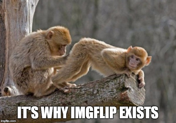 IT'S WHY IMGFLIP EXISTS | made w/ Imgflip meme maker
