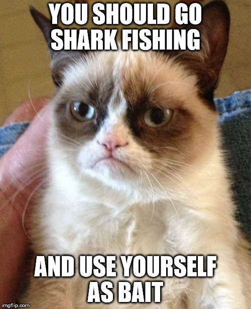 Grumpy Cat | YOU SHOULD GO SHARK FISHING; AND USE YOURSELF AS BAIT | image tagged in memes,grumpy cat | made w/ Imgflip meme maker