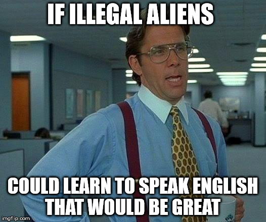 That Would Be Great Meme | IF ILLEGAL ALIENS; COULD LEARN TO SPEAK ENGLISH THAT WOULD BE GREAT | image tagged in memes,that would be great | made w/ Imgflip meme maker