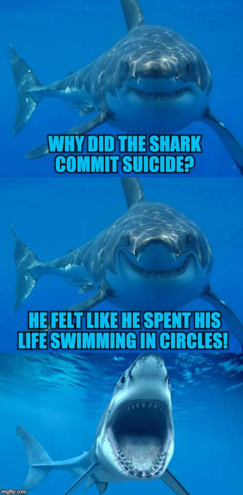 Bad Shark Pun  | WHY DID THE SHARK COMMIT SUICIDE? HE FELT LIKE HE SPENT HIS LIFE SWIMMING IN CIRCLES! | image tagged in bad shark pun,funny meme,shark,jokes,funny,shark week | made w/ Imgflip meme maker