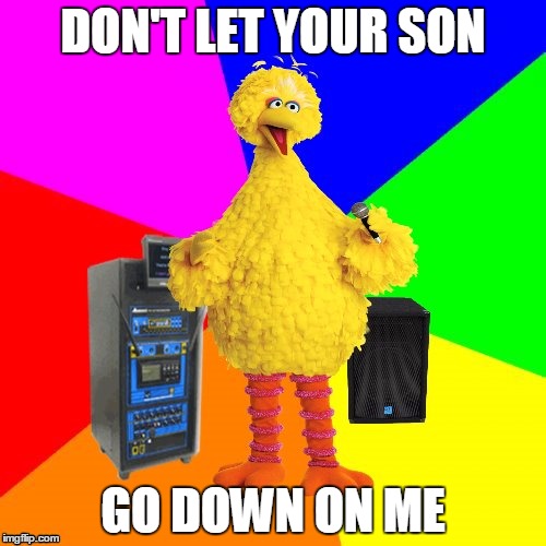 Wrong lyrics karaoke big bird | DON'T LET YOUR SON; GO DOWN ON ME | image tagged in wrong lyrics karaoke big bird | made w/ Imgflip meme maker