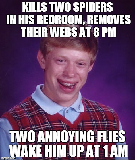 Bad Luck Brian | KILLS TWO SPIDERS IN HIS BEDROOM, REMOVES THEIR WEBS AT 8 PM; TWO ANNOYING FLIES WAKE HIM UP AT 1 AM | image tagged in memes,bad luck brian | made w/ Imgflip meme maker