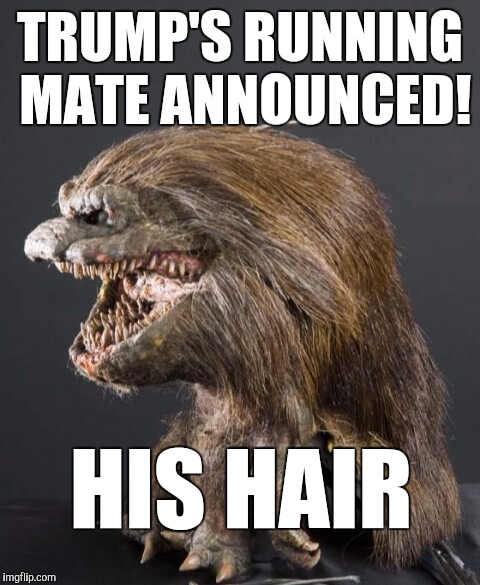 Critter | TRUMP'S RUNNING MATE ANNOUNCED! HIS HAIR | image tagged in critter | made w/ Imgflip meme maker