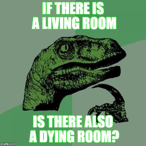 Philosoraptor | IF THERE IS A LIVING ROOM; IS THERE ALSO A DYING ROOM? | image tagged in memes,philosoraptor | made w/ Imgflip meme maker