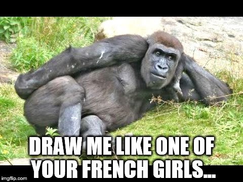 Another gorilla meme... | DRAW ME LIKE ONE OF YOUR FRENCH GIRLS... | image tagged in memes,gorilla,draw me like one of your french girls,animals | made w/ Imgflip meme maker