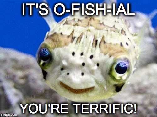 No worm necessary  | IT'S O-FISH-IAL; YOU'RE TERRIFIC! | image tagged in janey mack meme,flirt,fish,ofishial,you're terrific,puffer fish | made w/ Imgflip meme maker