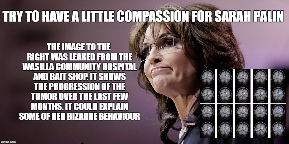 compassion for sarah | TRY TO HAVE A LITTLE COMPASSION FOR SARAH PALIN; THE IMAGE TO THE RIGHT WAS LEAKED FROM THE WASILLA COMMUNITY HOSPITAL AND BAIT SHOP. IT SHOWS THE PROGRESSION OF THE TUMOR OVER THE LAST FEW MONTHS. IT COULD EXPLAIN SOME OF HER BIZARRE BEHAVIOUR | image tagged in palin,behaviour,brain tumor | made w/ Imgflip meme maker