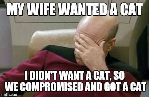If you're a married man, you know.... | MY WIFE WANTED A CAT; I DIDN'T WANT A CAT, SO WE COMPROMISED AND GOT A CAT | image tagged in memes,captain picard facepalm | made w/ Imgflip meme maker