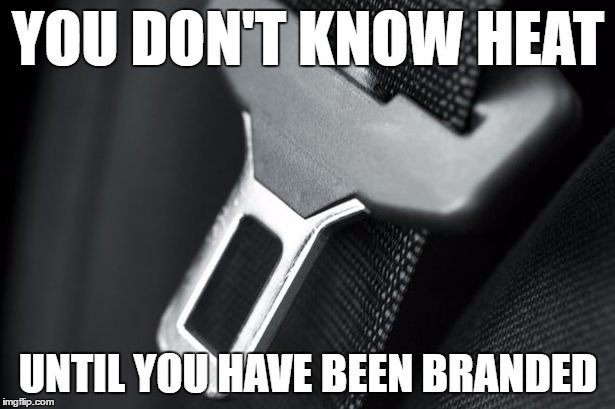 Australian Problems | YOU DON'T KNOW HEAT; UNTIL YOU HAVE BEEN BRANDED | image tagged in memes,australia,gifs,seatbelt,oh god why | made w/ Imgflip meme maker