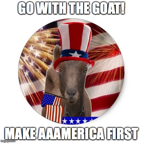 Make Aaamerica First | GO WITH THE GOAT! MAKE AAAMERICA FIRST | image tagged in satire,political,dump trump | made w/ Imgflip meme maker