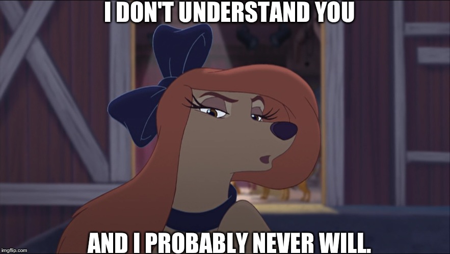 I Don't Understand You And I Probably Never Will | I DON'T UNDERSTAND YOU; AND I PROBABLY NEVER WILL. | image tagged in dixie tough,memes,disney,the fox and the hound 2,reba mcentire,dog | made w/ Imgflip meme maker
